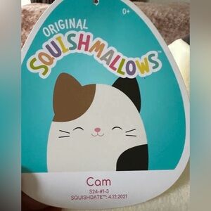 IN SEARCH OF JUMBO CAM